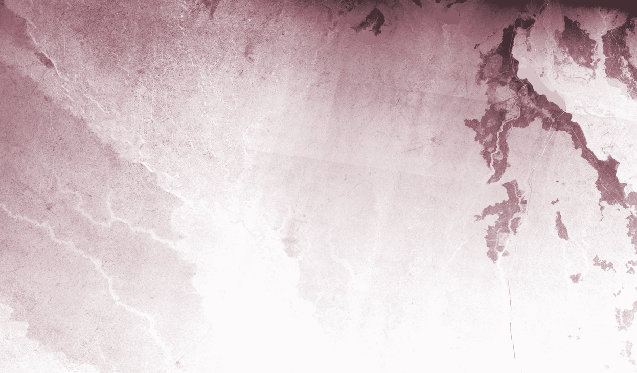 g2k_dem_layer_N28E079_bareily_low_res.png